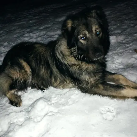 Casa vacanze Planinski Mir *